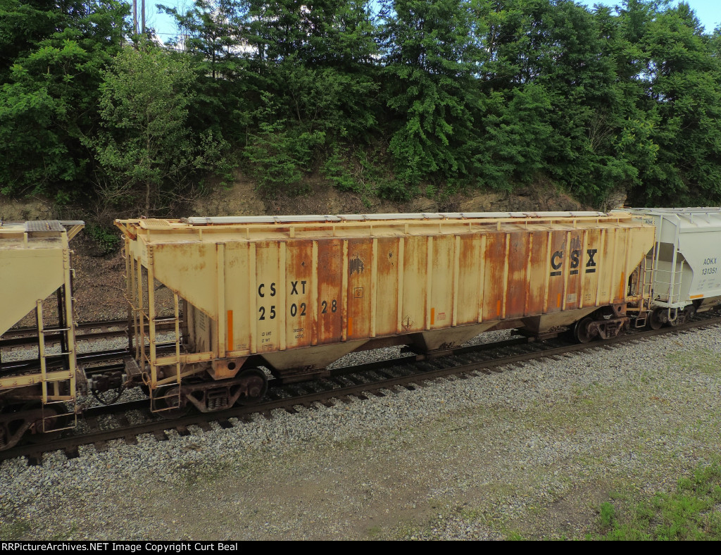 CSX 250228